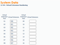 virtual extension.png