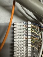 IMG_2315.jpeg